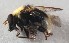  ( - Sander_Bot_Specimen#39)  @11 [ ] No Rights Reserved (2015) Unspecified CNC