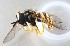  ( - Sander_Bot_Specimen#57)  @13 [ ] No Rights Reserved (2015) Unspecified CNC
