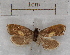  ( - RMZ3599_1)  @12 [ ] CreativeCommons - Attribution Non-Commercial Share-Alike (2015) Helgeland Museum Helgeland Museum