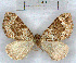  ( - RMZ4976_10)  @12 [ ] CreativeCommons - Attribution Non-Commercial Share-Alike (2015) Helgeland Museum Helgeland Museum