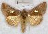  ( - RMZ7735_1)  @14 [ ] CreativeCommons - Attribution Non-Commercial Share-Alike (2015) Helgeland Museum Helgeland Museum