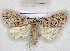  ( - RMZ7917_3)  @13 [ ] CreativeCommons - Attribution Non-Commercial Share-Alike (2015) Helgeland Museum Helgeland Museum