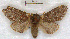  ( - RMZ7951_7)  @13 [ ] CreativeCommons - Attribution Non-Commercial Share-Alike (2015) Helgeland Museum Helgeland Museum