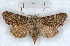  ( - RMZ8653)  @13 [ ] CreativeCommons - Attribution Non-Commercial Share-Alike (2015) Helgeland Museum Helgeland Museum