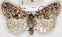 ( - RMZ8672_16)  @14 [ ] CreativeCommons - Attribution Non-Commercial Share-Alike (2015) Helgeland Museum Helgeland Museum