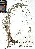  ( - SZU50090091_01)  @11 [ ] by-nc-sa (2024) SZU University of Salzburg