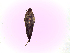  ( - Kbz2)  @12 [ ] No Rights Reserved (2015) International Centre of Insect Physiology and Ecology International Centre of Insect Physiology and Ecology