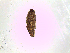  ( - Kbz4)  @12 [ ] No Rights Reserved (2015) International Centre of Insect Physiology and Ecology International Centre of Insect Physiology and Ecology