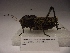  ( - R013)  @12 [ ] Unspecified (default): All Rights Reserved  Unspecified Unspecified