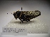  ( - R032)  @12 [ ] Unspecified (default): All Rights Reserved  Unspecified Unspecified