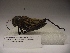  ( - R083)  @12 [ ] Unspecified (default): All Rights Reserved  Unspecified Unspecified
