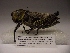  ( - R_113)  @12 [ ] Unspecified (default): All Rights Reserved  Unspecified Unspecified
