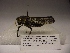  ( - R_116)  @12 [ ] Unspecified (default): All Rights Reserved  Unspecified Unspecified