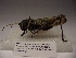  ( - R_131)  @12 [ ] Unspecified (default): All Rights Reserved  Unspecified Unspecified