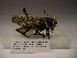  ( - R_132)  @12 [ ] Unspecified (default): All Rights Reserved  Unspecified Unspecified