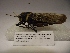  ( - R_134)  @12 [ ] Unspecified (default): All Rights Reserved  Unspecified Unspecified
