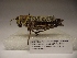  ( - R_138)  @12 [ ] Unspecified (default): All Rights Reserved  Unspecified Unspecified
