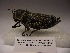  ( - R_139)  @12 [ ] Unspecified (default): All Rights Reserved  Unspecified Unspecified