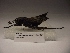  ( - R_186)  @12 [ ] Unspecified (default): All Rights Reserved  Unspecified Unspecified