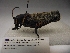  ( - R_223)  @12 [ ] Unspecified (default): All Rights Reserved  Unspecified Unspecified