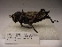  ( - R_224)  @12 [ ] Unspecified (default): All Rights Reserved  Unspecified Unspecified