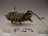  ( - R_280)  @12 [ ] Unspecified (default): All Rights Reserved  Unspecified Unspecified