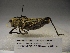  ( - R_289)  @13 [ ] Unspecified (default): All Rights Reserved  Unspecified Unspecified