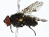  ( - BIOUG89939-E07)  @11 [ ] CreativeCommons - Attribution (2022) CBG Photography Group Centre for Biodiversity Genomics