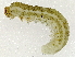  ( - BIOUG89989-B01)  @11 [ ] CreativeCommons - Attribution (2022) CBG Photography Group Centre for Biodiversity Genomics