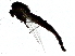  ( - BIOUG89989-E07)  @11 [ ] CreativeCommons - Attribution (2022) CBG Photography Group Centre for Biodiversity Genomics