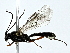  ( - BIOUG89990-G08)  @11 [ ] CreativeCommons - Attribution (2022) CBG Photography Group Centre for Biodiversity Genomics
