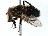  ( - BIOUG89992-B09)  @11 [ ] CreativeCommons - Attribution (2022) CBG Photography Group Centre for Biodiversity Genomics