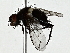  ( - BIOUG89993-H07)  @11 [ ] CreativeCommons - Attribution (2022) CBG Photography Group Centre for Biodiversity Genomics