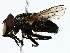  ( - BIOUG89994-A02)  @11 [ ] CreativeCommons - Attribution (2022) CBG Photography Group Centre for Biodiversity Genomics