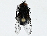  ( - BIOUG89994-D06)  @11 [ ] CreativeCommons - Attribution (2022) CBG Photography Group Centre for Biodiversity Genomics