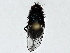  ( - BIOUG89994-D12)  @11 [ ] CreativeCommons - Attribution (2022) CBG Photography Group Centre for Biodiversity Genomics