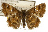  ( - TAMUICEGR-0122)  @11 [ ] CreativeCommons - Attribution (2010) CBG Photography Group Centre for Biodiversity Genomics