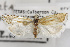  ( - TAMUICEGR-0280)  @13 [ ] CreativeCommons - Attribution (2010) CBG Photography Group Centre for Biodiversity Genomics