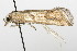  ( - TAMUICEGR-0282)  @12 [ ] CreativeCommons - Attribution (2010) CBG Photography Group Centre for Biodiversity Genomics