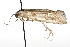  ( - TAMUICEGR-0284)  @12 [ ] CreativeCommons - Attribution (2010) CBG Photography Group Centre for Biodiversity Genomics