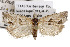  ( - TAMUICEGR-0287)  @14 [ ] CreativeCommons - Attribution (2010) CBG Photography Group Centre for Biodiversity Genomics