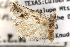  ( - TAMUICEGR-0292)  @11 [ ] CreativeCommons - Attribution (2010) CBG Photography Group Centre for Biodiversity Genomics
