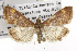  ( - TAMUICEGR-0444)  @14 [ ] CreativeCommons - Attribution (2010) CBG Photography Group Centre for Biodiversity Genomics