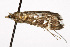  ( - TAMUICEGR-0478)  @12 [ ] CreativeCommons - Attribution (2010) CBG Photography Group Centre for Biodiversity Genomics