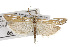  (Eufernaldia - TAMUICEGR-0507)  @14 [ ] CreativeCommons - Attribution (2010) CBG Photography Group Centre for Biodiversity Genomics