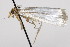  ( - TAMUICEGR-0521)  @13 [ ] CreativeCommons - Attribution (2010) CBG Photography Group Centre for Biodiversity Genomics