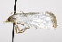  ( - TAMUICEGR-0522)  @13 [ ] CreativeCommons - Attribution (2010) CBG Photography Group Centre for Biodiversity Genomics