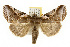  ( - TAMUICEGR-0647)  @15 [ ] CreativeCommons - Attribution (2010) CBG Photography Group Centre for Biodiversity Genomics