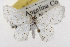  ( - TAMUICEGR-0735)  @14 [ ] CreativeCommons - Attribution (2010) CBG Photography Group Centre for Biodiversity Genomics