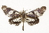  ( - TAMUICEGR-0756)  @14 [ ] CreativeCommons - Attribution (2010) CBG Photography Group Centre for Biodiversity Genomics